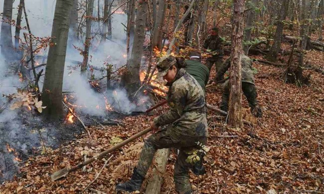 Пожарът на българо-гръцката граница е под контрол