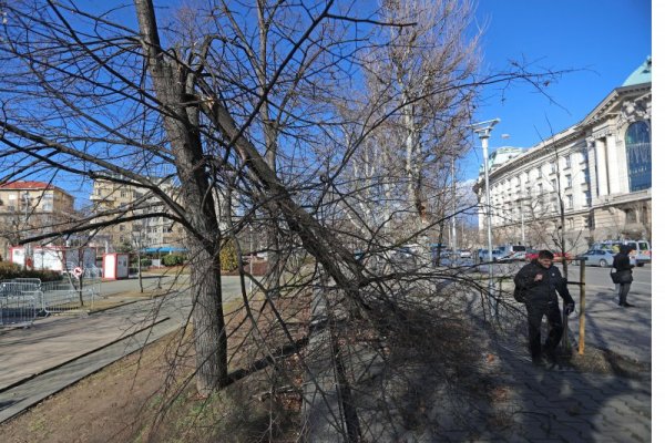 В кадър: Пораженията на ураганния вятър в София