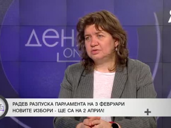 ИТН няма да съберат подписите за референдума, смята проф. Киселова