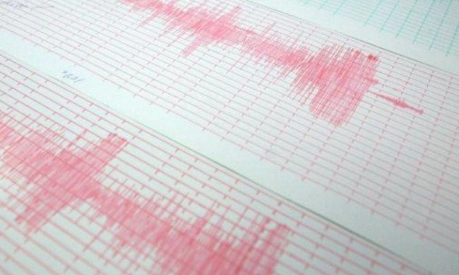 Сеизмолог: Земетресение не може да се предскаже кога ще се случи