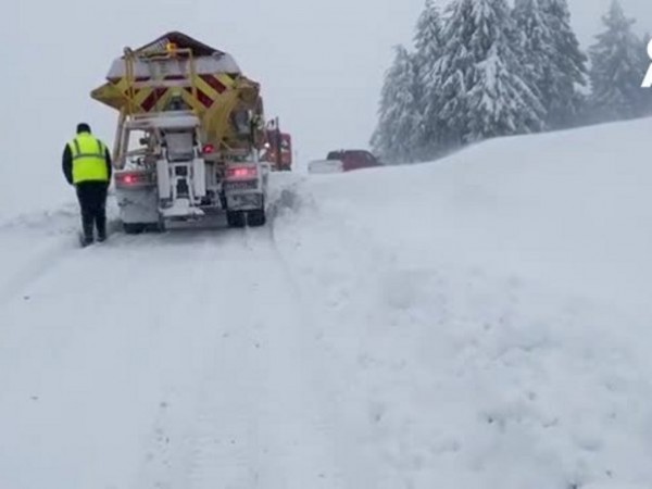 Хиляди без ток заради снега, вятърът събори дървета във Варна