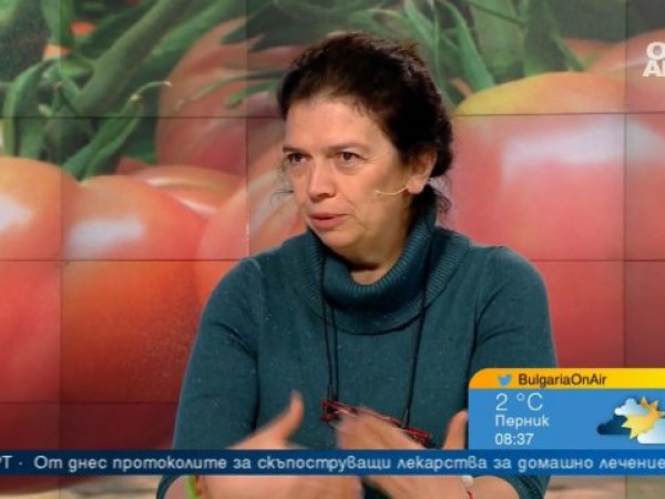 Българският розов домат пред изчезване: Защо се отказваме от родния вкус?