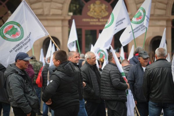 Лозари на протест, искат повече помощи и защита от вноса