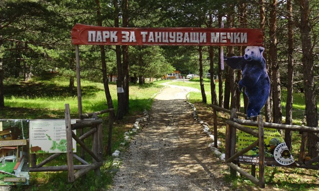 Всички мечки в парка в Белица вече са будни