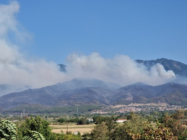 Пожарите в Гърция няма да стигнат до нашата територия