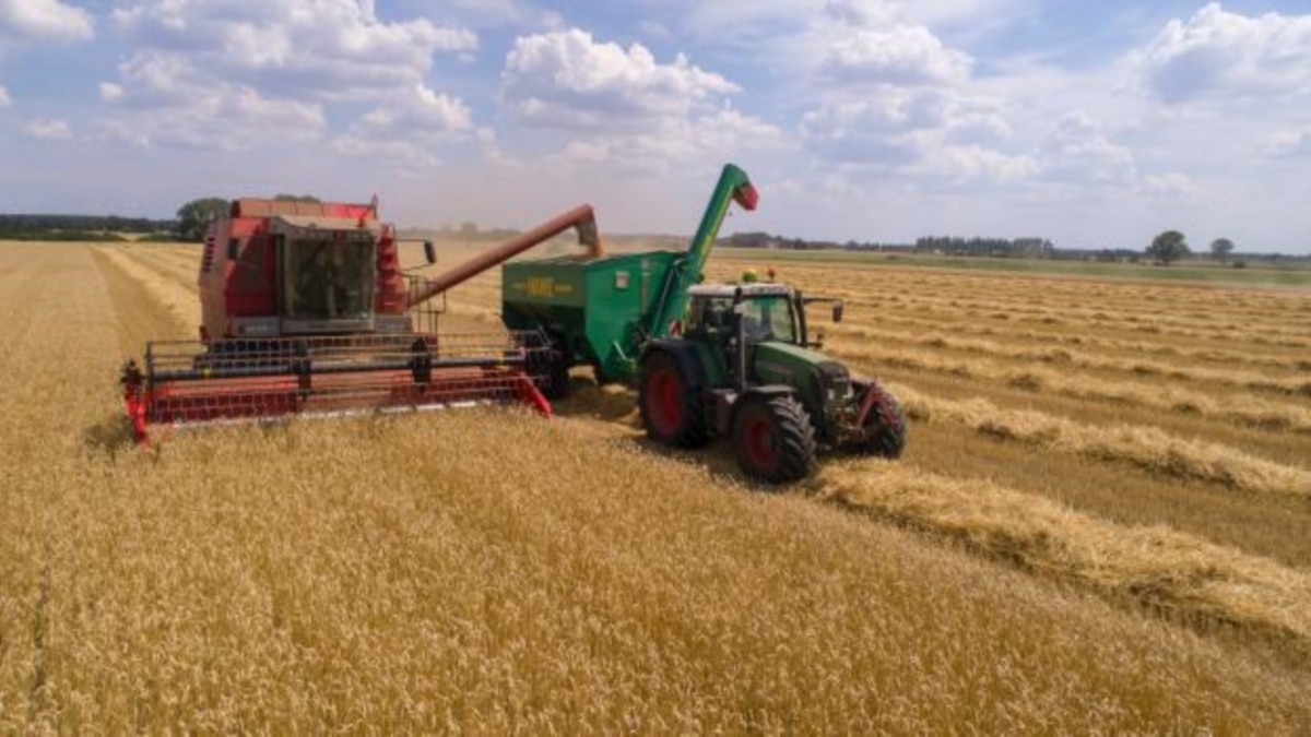 Полша иска забраната за внос на украинско зърно да бъде удължена