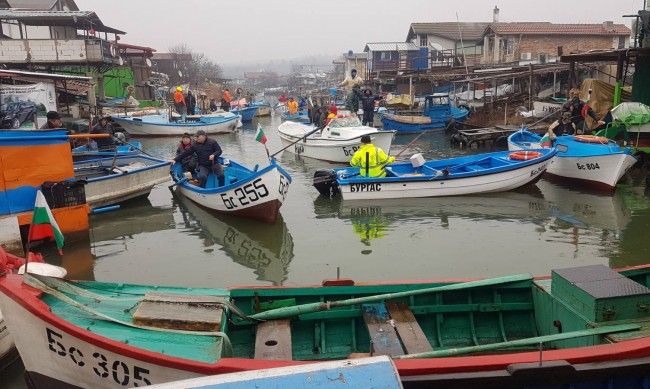 Заради по-високата температура рибата в Черно море става по-дребна