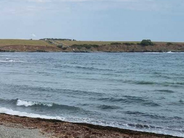 НС даде зелена светлина за вятърни централи в Черно море на концесия