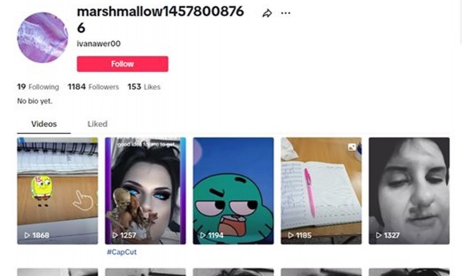 Два дни преди да изчезне Ивана публикувала 57 клипа в TikTok