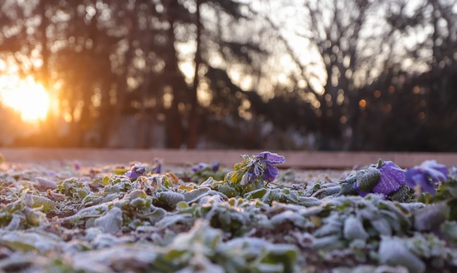 Лятно време днес, слънчево и тихо, до 28°