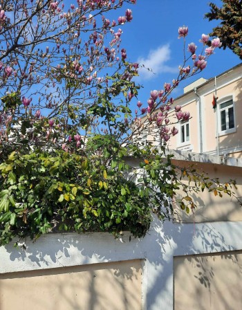 Пролетта идва със слънчево време, градусите достигат до 15°