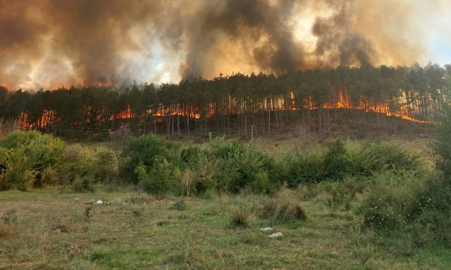 Завърши учението в Корен, горят 3000 дка край полигона