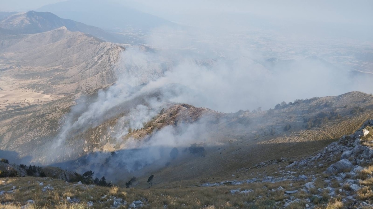 България поиска помощ от ЕС заради пожара на границата с Гърция