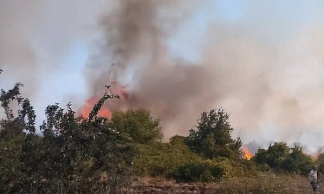 Търсят се доброволци, в Припек е критично - огънят се разраства, вода няма