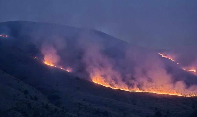 142 пожара са потушени в страната през денонощието, двама пострадали