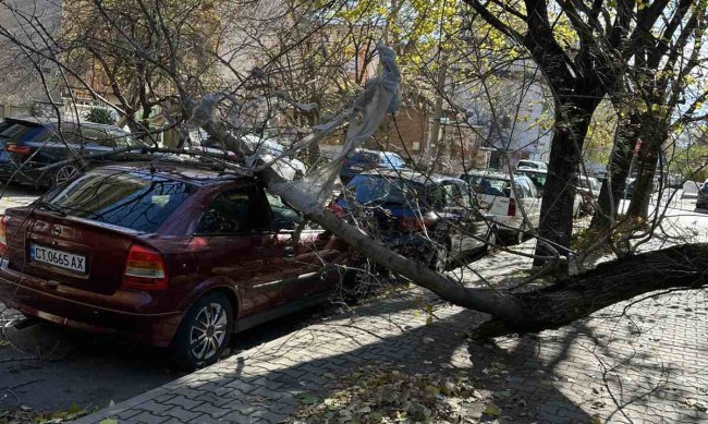 Ураганен вятър в Стара Загора събори светофар, пречупи дървета