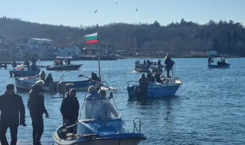 Засякоха 20 нови вида риби в Черно море