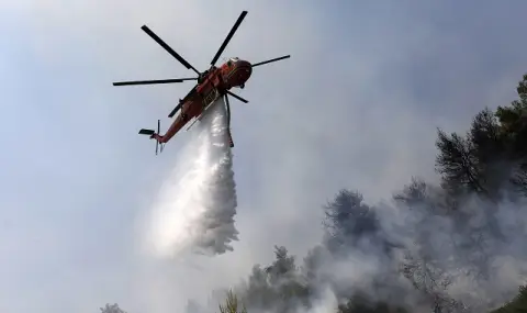 "Децата на огъня"! Слабо известна групировка пое отговорност за десетките пожари в Турция