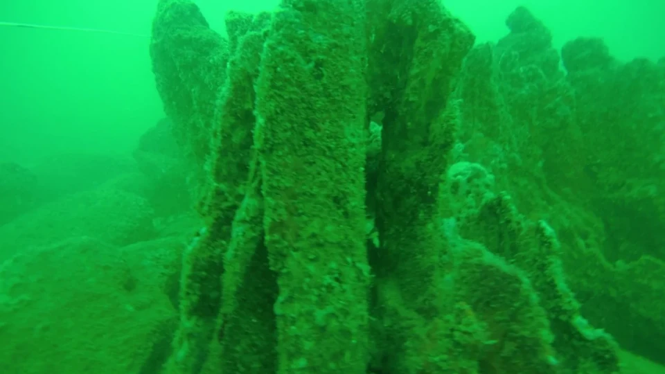 Ето къде се намира подводната каменна гора