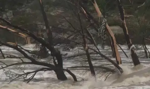 Издирват 23 момичета от летен лагер, изчезнали след наводненията в Тексас ВИДЕО