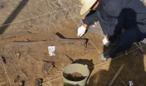 Откриха дървени инструменти на 300 000 години в югозападен Китай