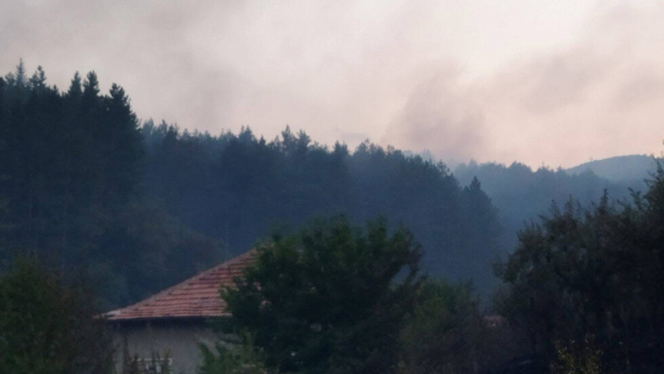 Пореден пожар пламна у нас