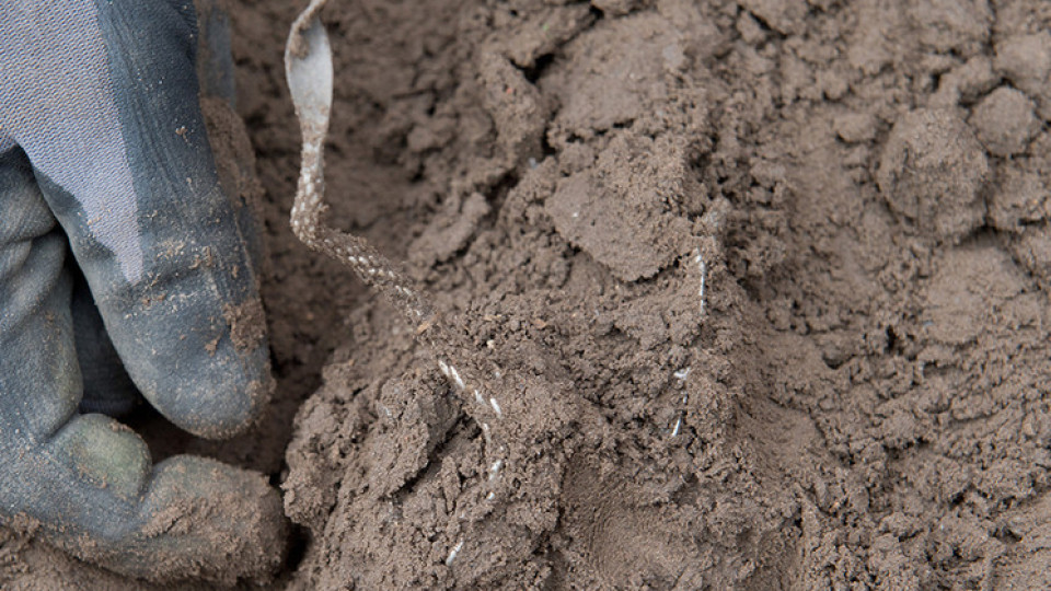 Разчетоха най-мистериозния надпис. Послание за бъдещето