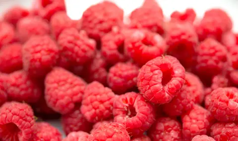 Трябва ли да мием малините преди консумация