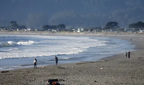 Цунами достигна Калифорния след мощното земетресение в Камчатка