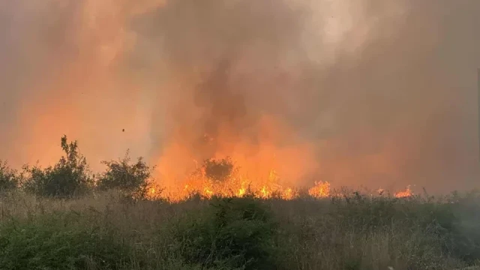 Чудо в наше село. Пожар заобиколи дървен параклис /СНИМКИ/