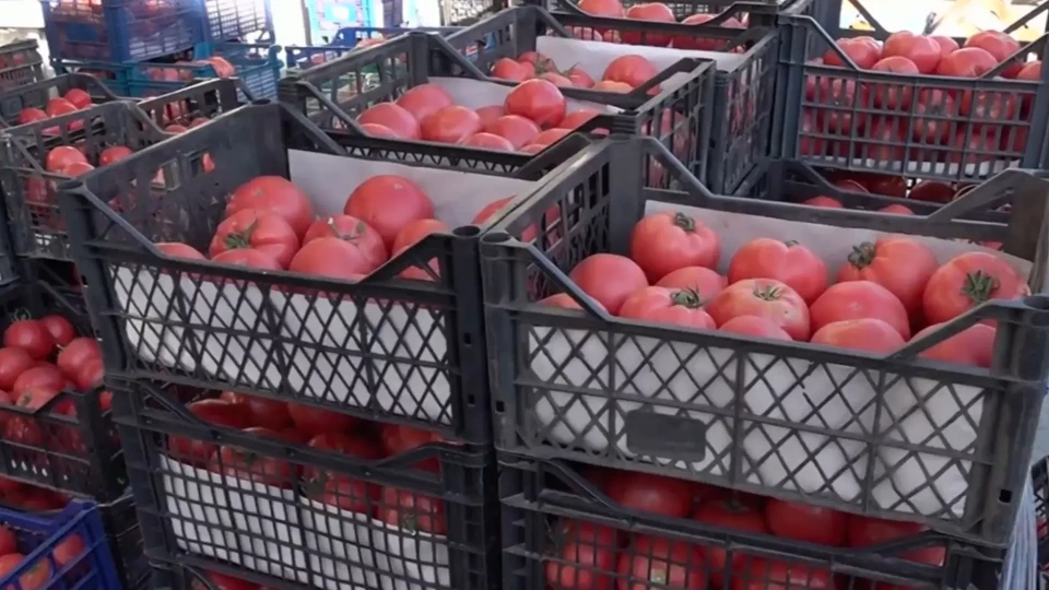 Горещини и оскъдица качват цените на плодовете и зеленчуците