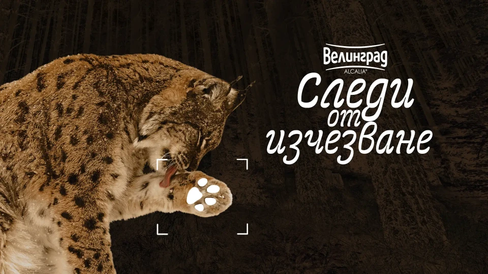 Зоопарк Стара Загора става домакин на пътуващата изложба „Следи от изчезване“