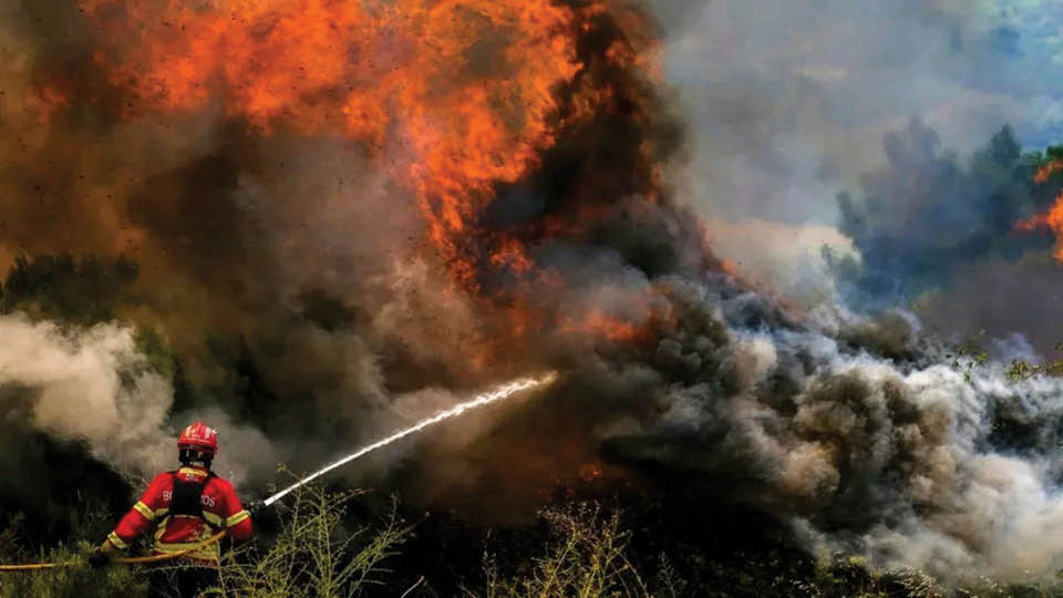 Изчадия ли сме или нечии интереси палят пожарите?