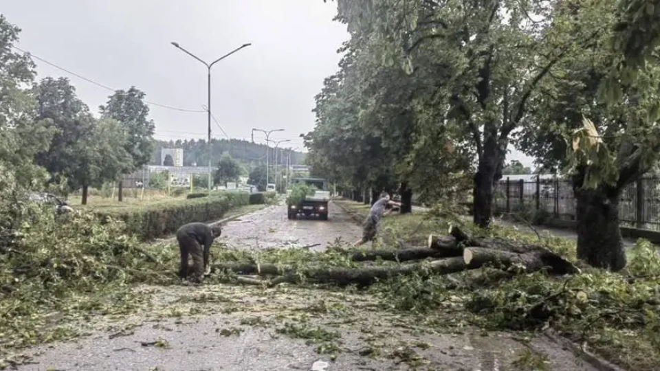 Невиждан ураган вилня у нас. Ето щетите
