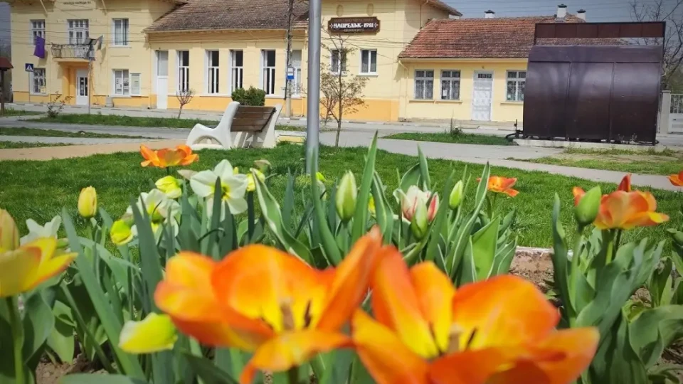 Наше селце стана рай! Изкупиха всички имоти