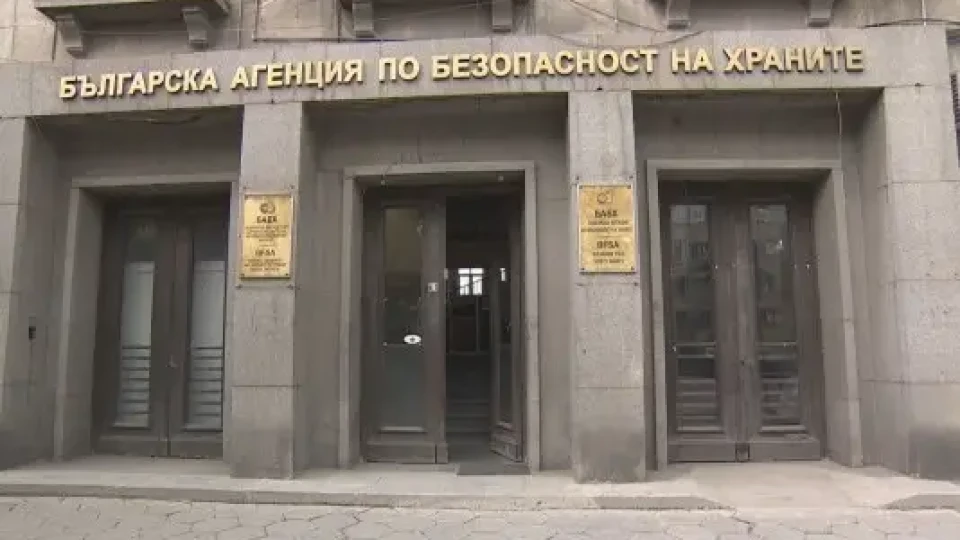 ОДБХ – Пловдив установи пореден нерегламентиран превоз на животни