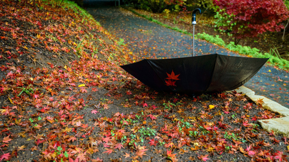 Студът нахлува. Очакват се още две изненади