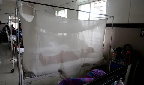 Първи случай на вируса чикунгуня в Румъния