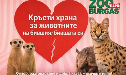 14 февруари в зоопарка в Бургас: Кръсти африкански червей на бившия и нахрани суриката Тимон