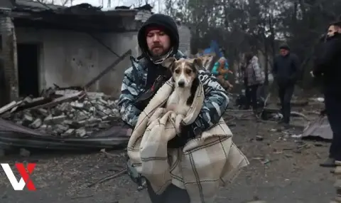 Руска въздушна атака порази приют за кучета в Запорожие ВИДЕО