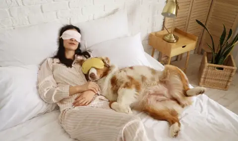 Домашните любимци подобряват психичното здраве на 83% от стопаните