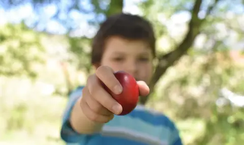 Какво да правим с миналогодишното червено яйце?