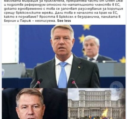 Не е вярно, че Румъния подготвя референдум за излизане от ЕС