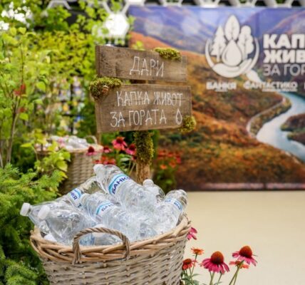 „Капка живот за гората“: 12 000 дървета ще възстановят опожарена местност в Пирин