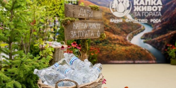 „Капка живот за гората“: 12 000 дървета ще възстановят опожарена местност в Пирин