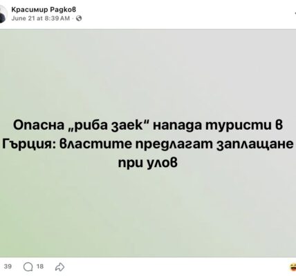 Лагоцефалус сцелератус – митове и факти за „опасната риба заек“ в Гърция