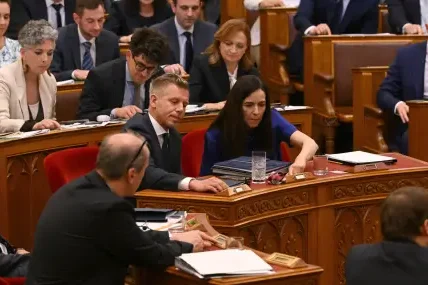 Шахматната легенда Юдит Полгар отказа на унгарския премиер Петер Мадяр да стане президент