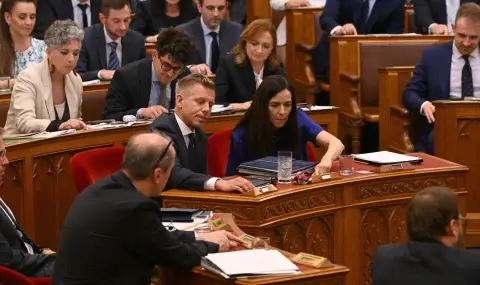 Шахматната легенда Юдит Полгар отказа на унгарския премиер Петер Мадяр да стане президент