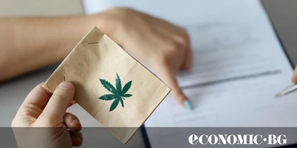 Германия се превръща в най-големия регулиран пазар за канабис в Европа