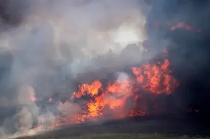 Голям горски пожар бушува край село Бигла в Северна Македония